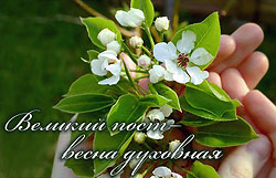 Свадьба в пост